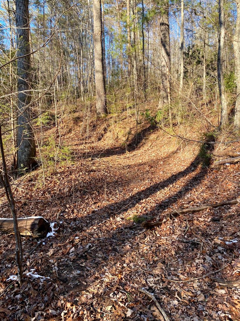 2.04 Smithfield Rd, Tellico Plains, TN 37385