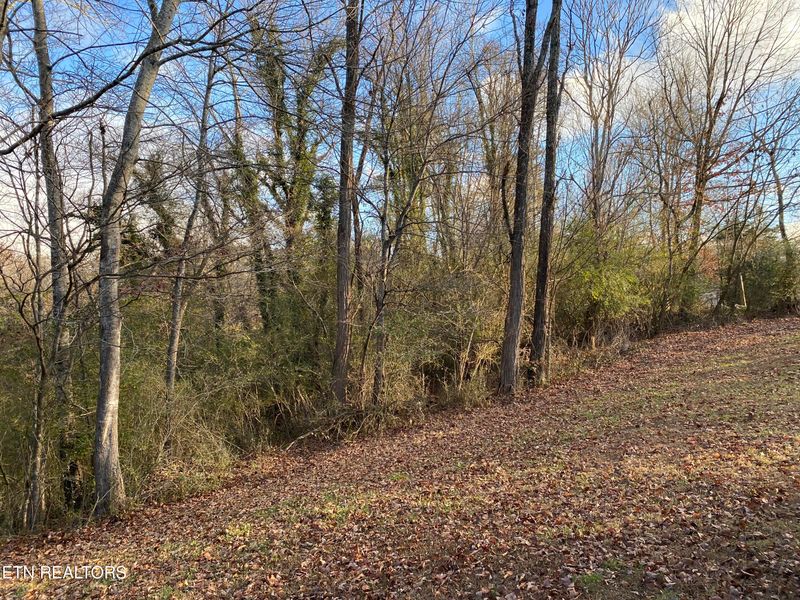 2.47 Cates Rd, Rockwood, TN 37854