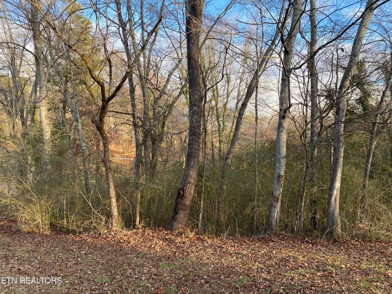 2.54 Cates Rd, Rockwood, TN 37854