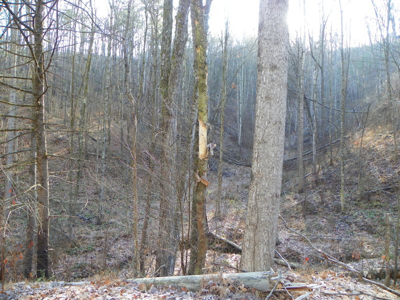 2.59 Acres Lones Branch Ln, Sevierville, TN 37876