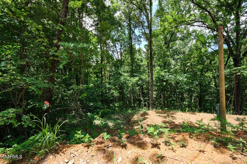 2.86 AC Blowing Cave Rd, Sevierville, TN 37876