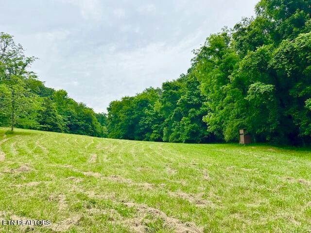20 County Rd, Decatur, TN 37322