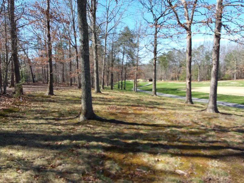 20 Dylan Ln, Fairfield Glade, TN 38558