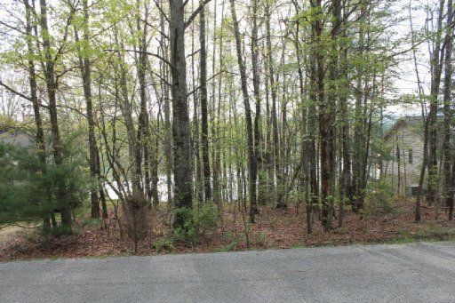20 Oakburn Ct, Fairfield Glade, TN 38558