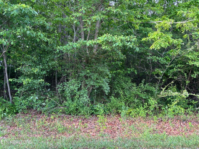 20 Otomi Cir, Crossville, TN 38572