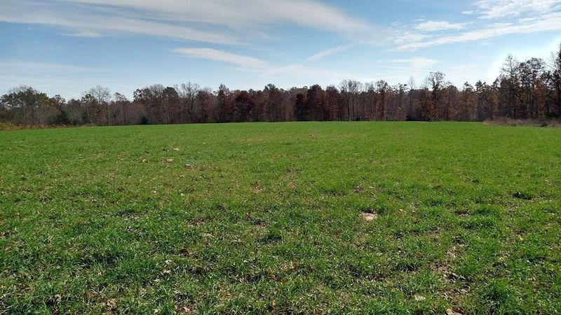 20.66ac Rome Rd, Lancing, TN 37770