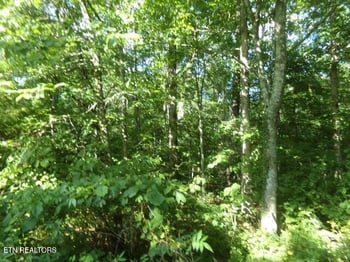 200 Nehasane Ln, Crossville, TN 38572