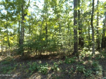 200 Nehasane Ln, Crossville, TN 38572