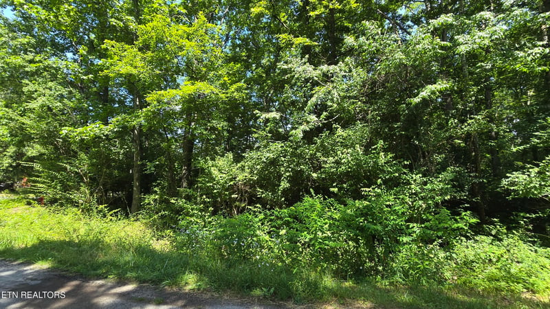 200 Rhododendron Cir, Crossville, TN 38555