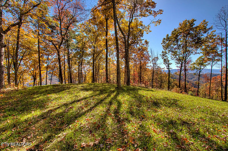 2000 E Millers Cove Rd, Walland, TN 37886
