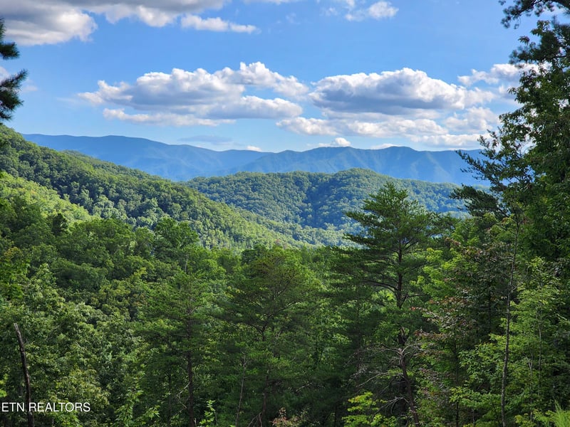 2000 E Millers Cove Rd, Walland, TN 37886
