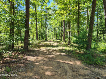 2000 E Millers Cove Rd, Walland, TN 37886