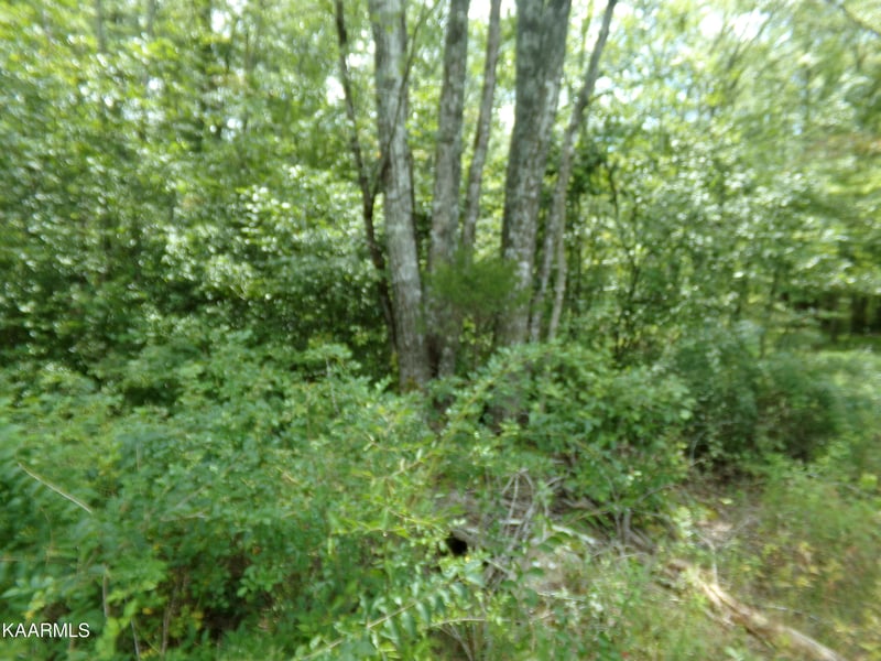 2000 Okmulgee Ln, Crossville, TN 38572