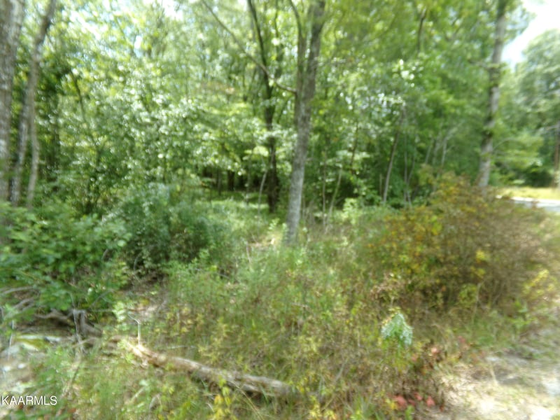 2000 Okmulgee Ln, Crossville, TN 38572