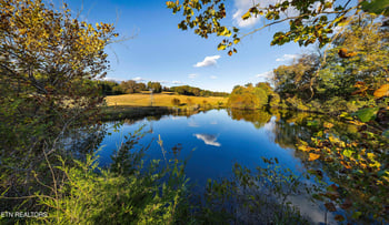 2003 Reagan Mill Rd, Maryville, TN 37803