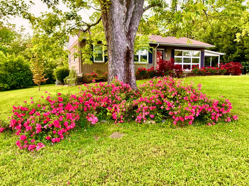 2005 Mcclain Dr, Knoxville, TN 37912