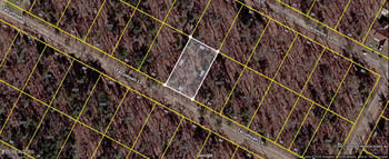 2009 Tecumseh Ln, Crossville, TN 38572
