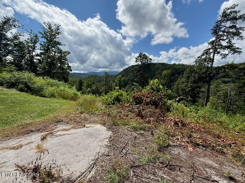 201 Cherry Laurel Dr #201, Pigeon Forge, TN 37863