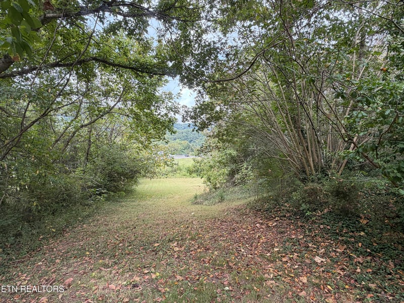 201 Hillcrest Ave, Rocky Top, TN 37769