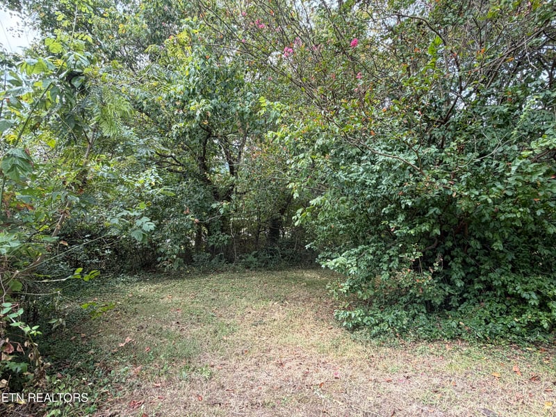 201 Hillcrest Ave, Rocky Top, TN 37769