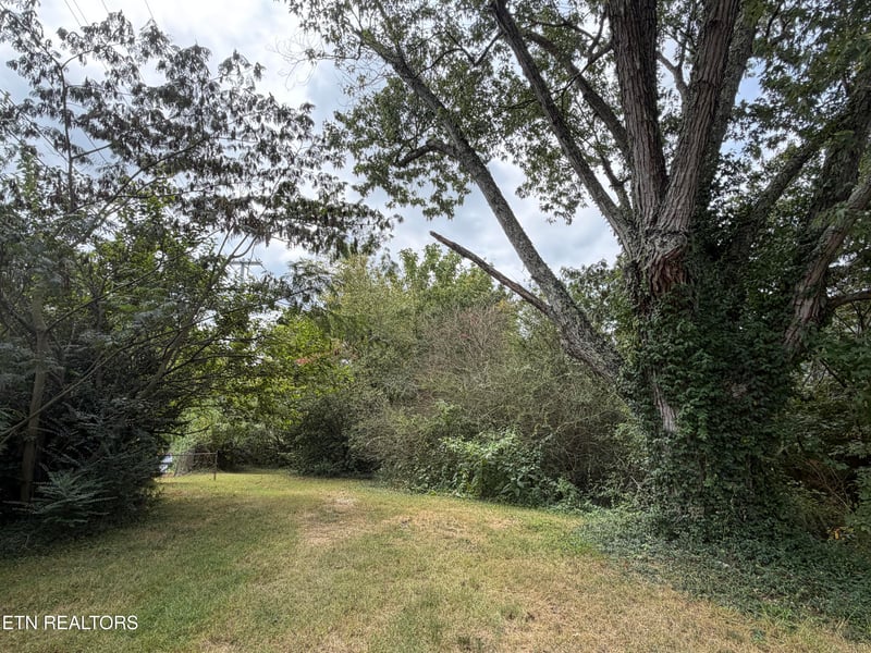 201 Hillcrest Ave, Rocky Top, TN 37769