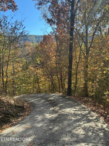 2012 Old Chilhowee Rd, Seymour, TN 37865