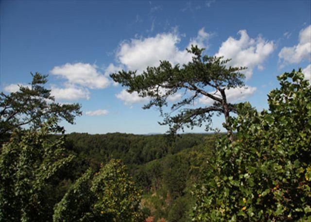 2013 Cougar Crossing Way, Sevierville, TN 37876