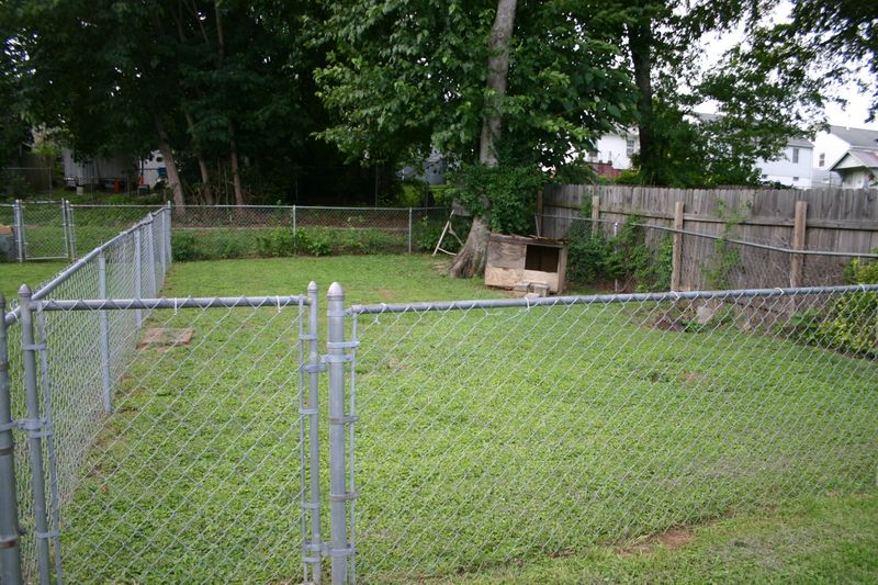 2017 NE Cecil Ave, Knoxville, TN 37917