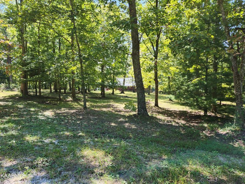 2018 Fall Creek Road Rd, Rockwood, TN 37854