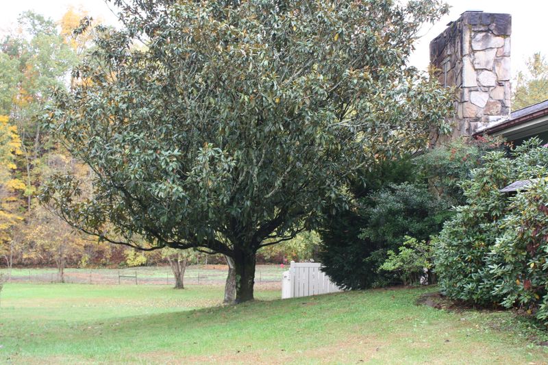 2018 New Era Rd, Sevierville, TN 37862