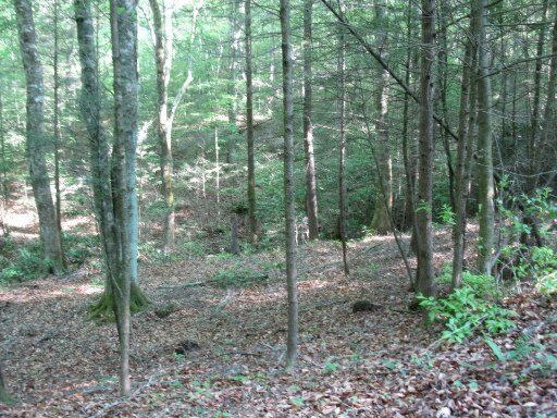 2019 Waters End, Walland, TN 37886
