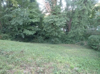 202 Hillview Ave, Knoxville, TN 37914