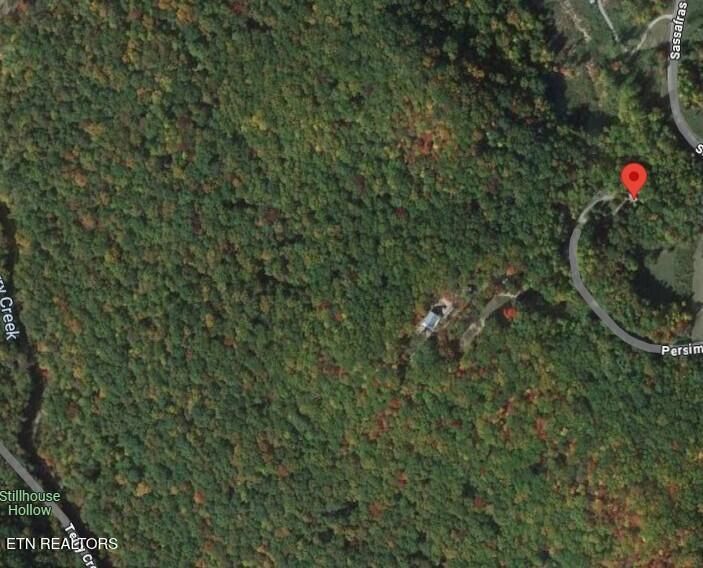 202 Persimmon Ln, Pioneer, TN 37847