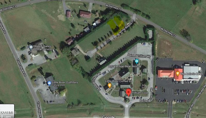 202 Spring Beauty Ln, Townsend, TN 37882