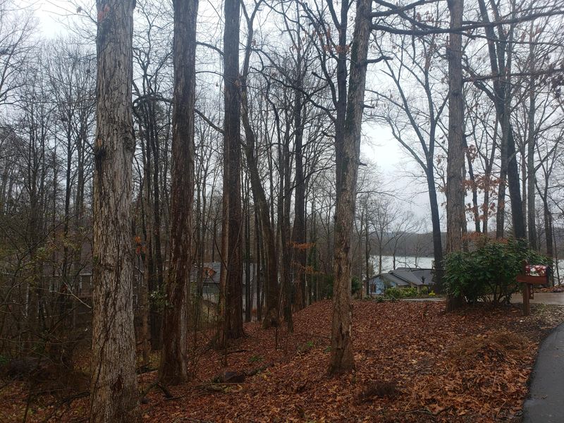 202 Tigitsi Pl, Loudon, TN 37774