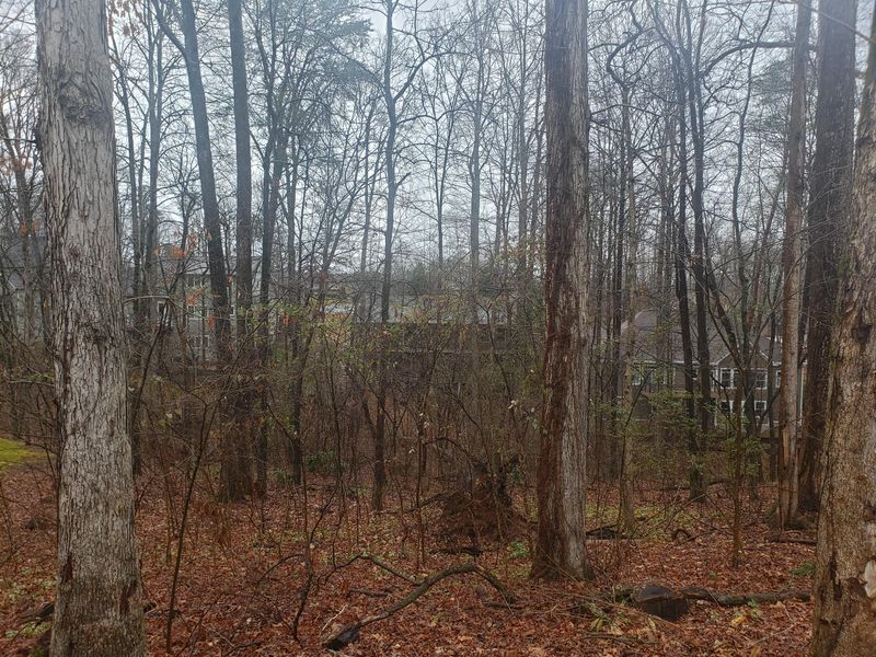 202 Tigitsi Pl, Loudon, TN 37774