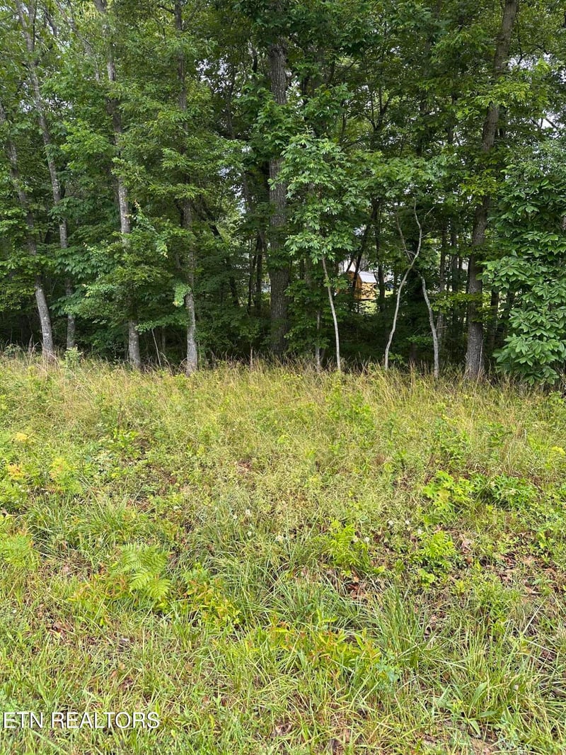 2020 Piute Rd, Crossville, TN 38572
