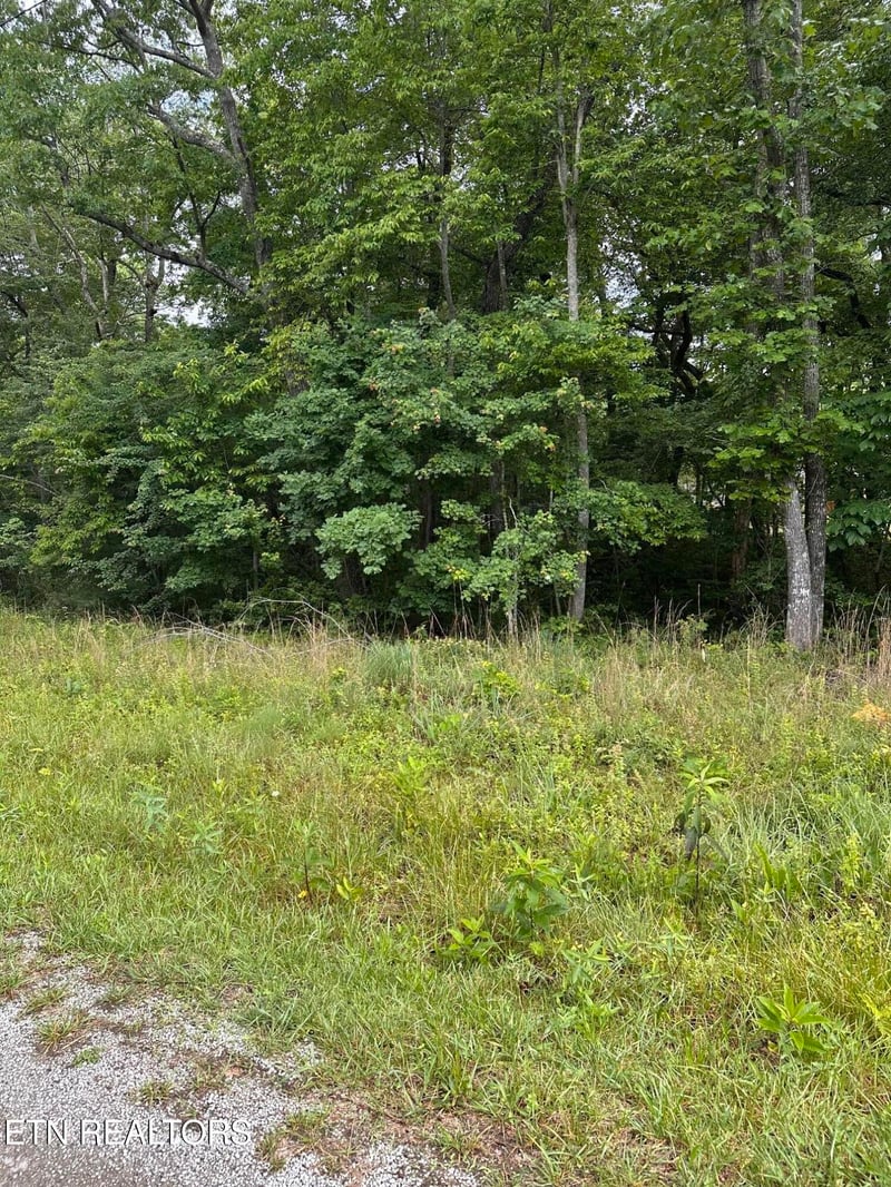 2020 Piute Rd, Crossville, TN 38572