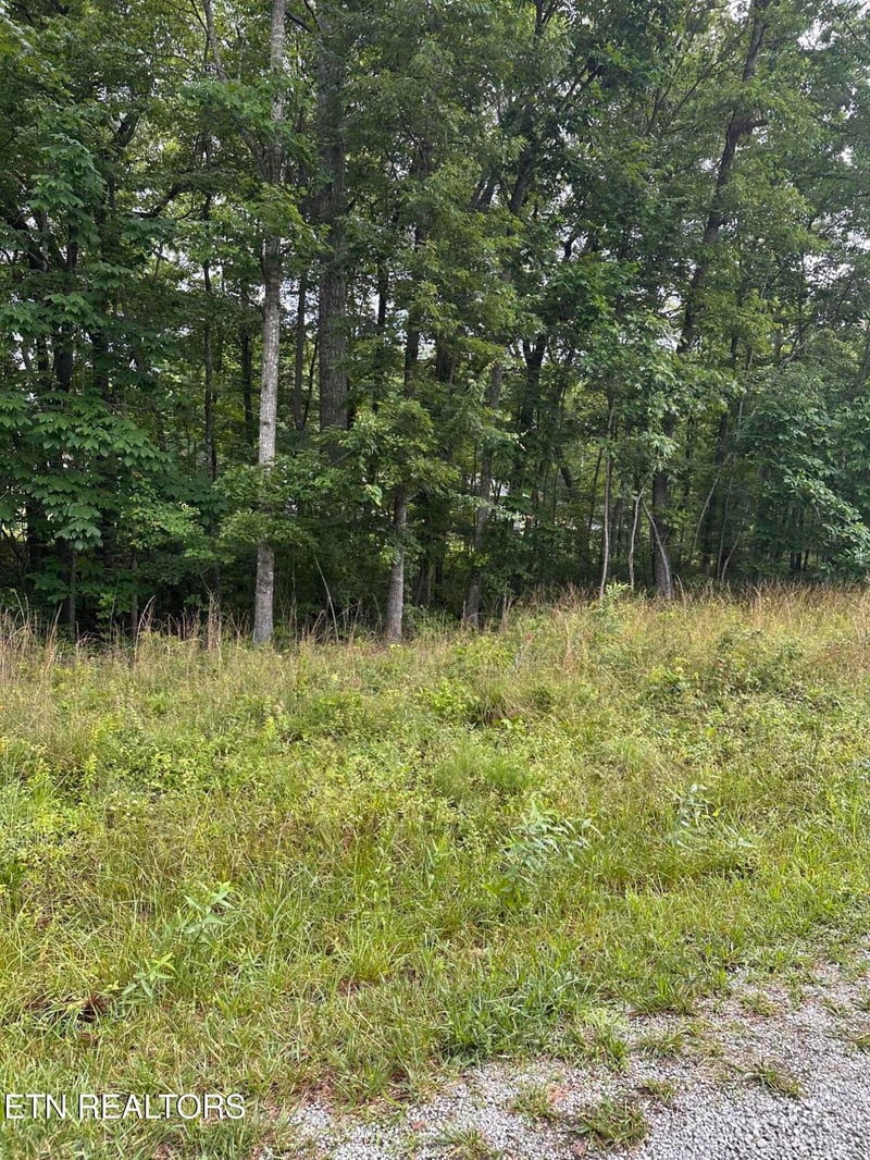 2020 Piute Rd, Crossville, TN 38572