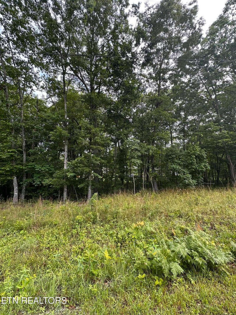 2020 Piute Rd, Crossville, TN 38572