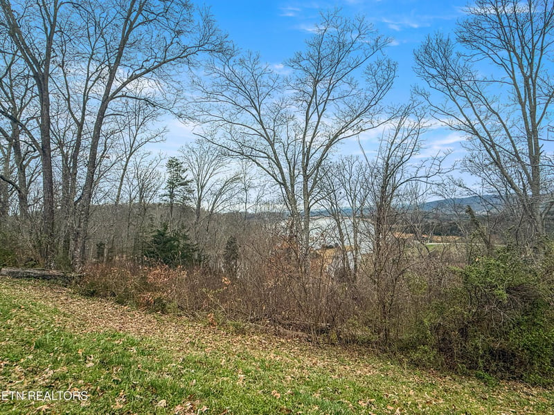 2021 Turner Landing Rd, Russellville, TN 37860