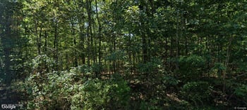 2024 Tres Cir, Crossville, TN 38572