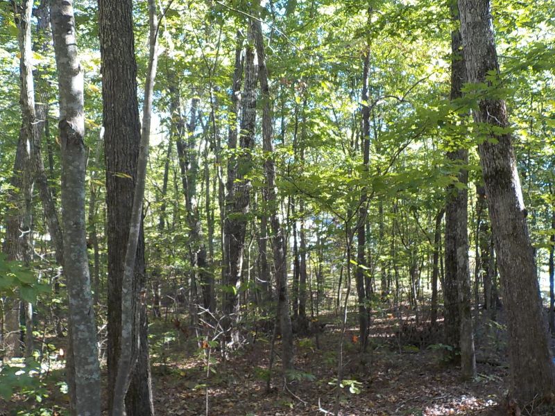 203 Dublin Ln, Fairfield Glade, TN 38558