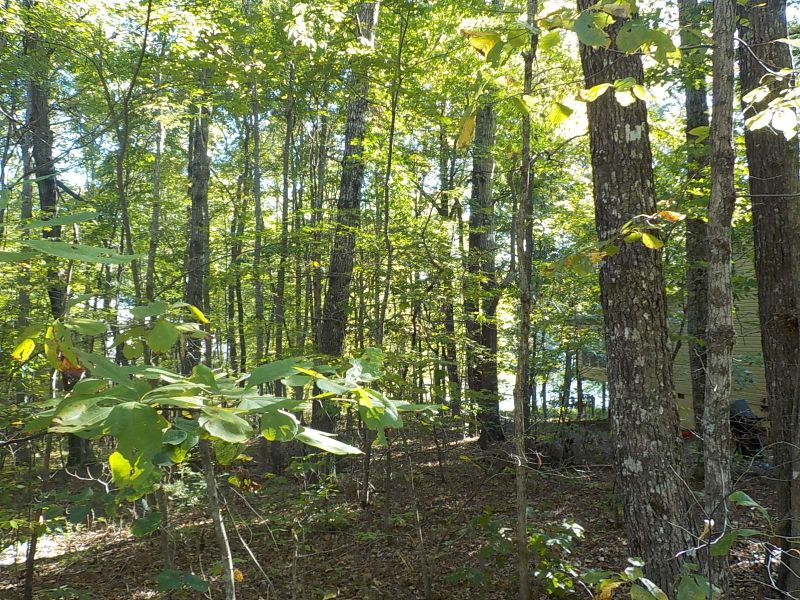 203 Dublin Ln, Fairfield Glade, TN 38558