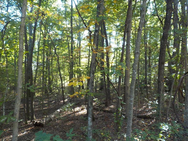 203 Dublin Ln, Fairfield Glade, TN 38558