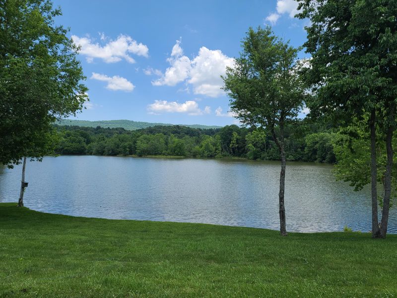 203 Jonelle Ct, Harriman, TN 37748