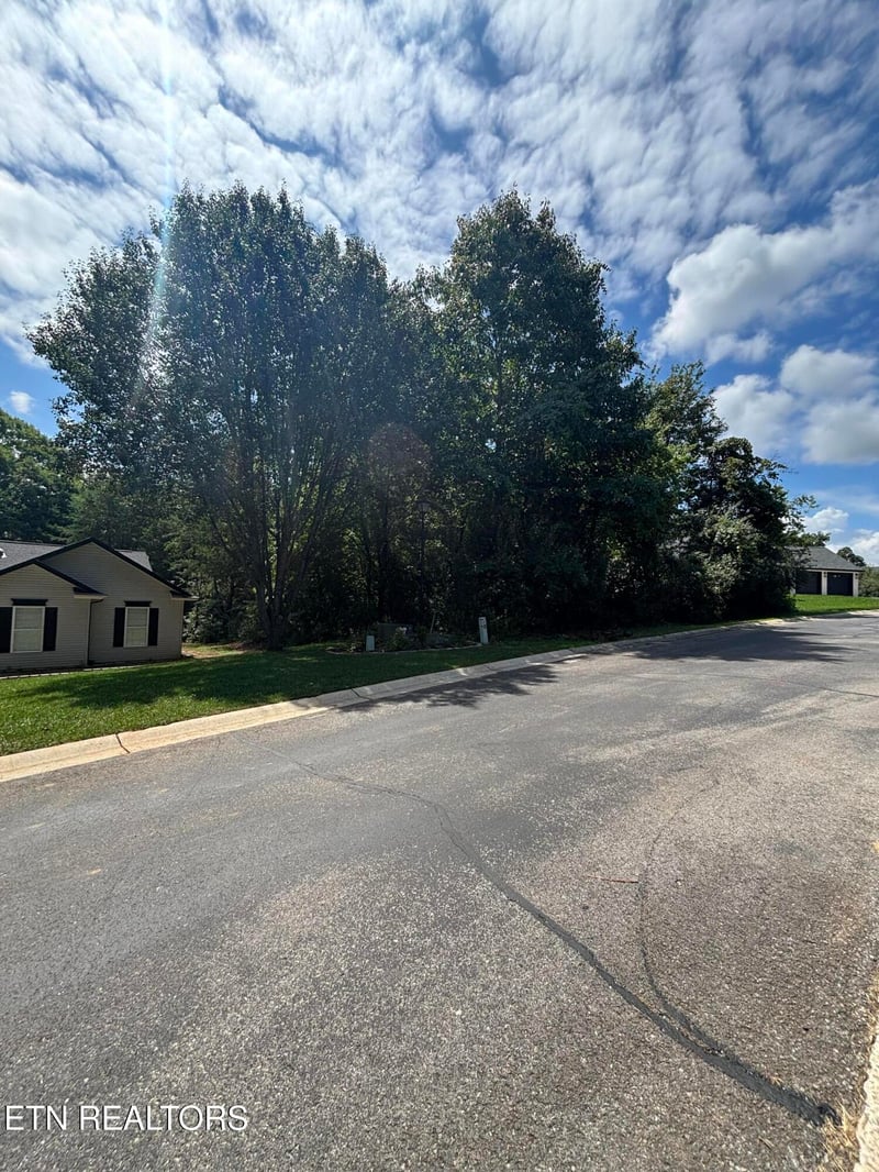 203 Ottawa Pl, Loudon, TN 37774