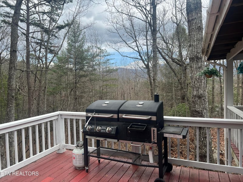 203 Tall Pine Cir, Tellico Plains, TN 37385