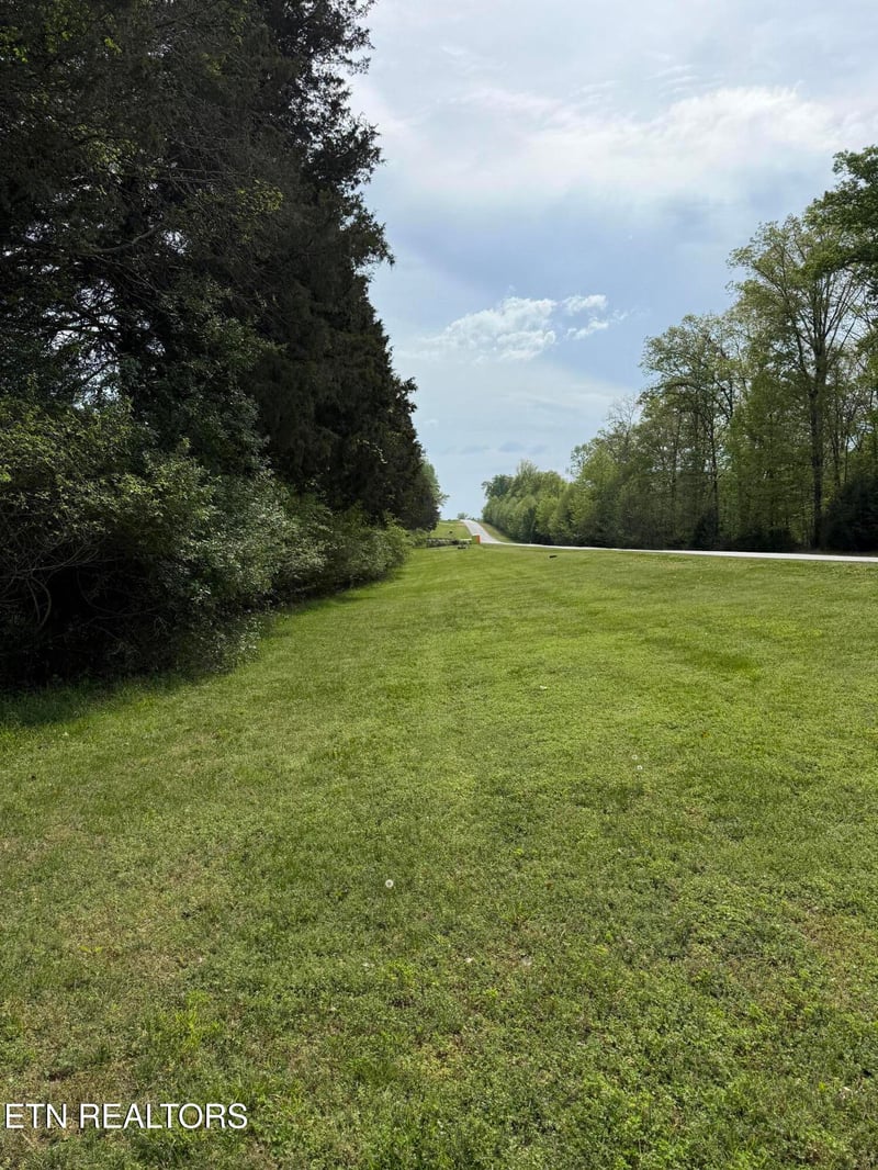 203 W Shore Dr, Rockwood, TN 37854