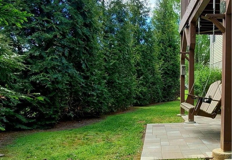 2031 Slippery Rock Cir, Pigeon Forge, TN 37862